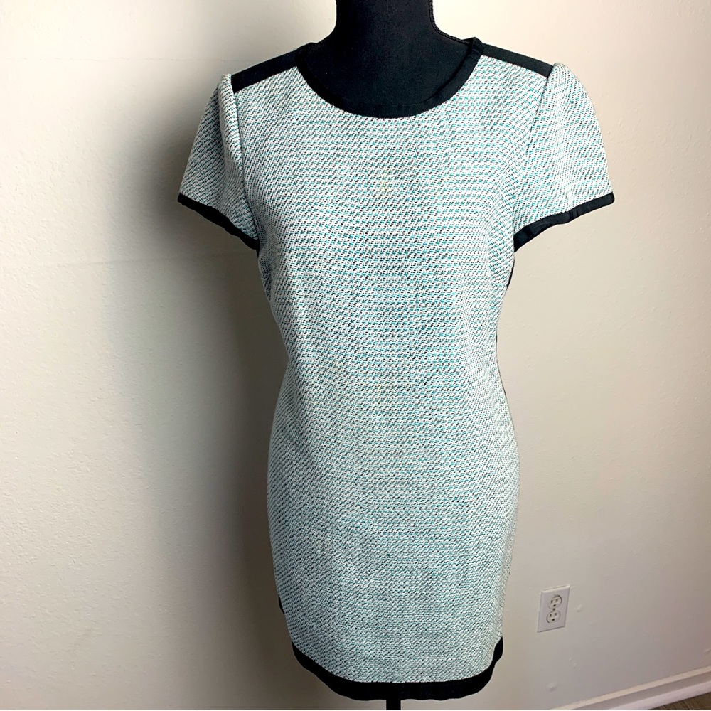Shift Banana Republic Dress